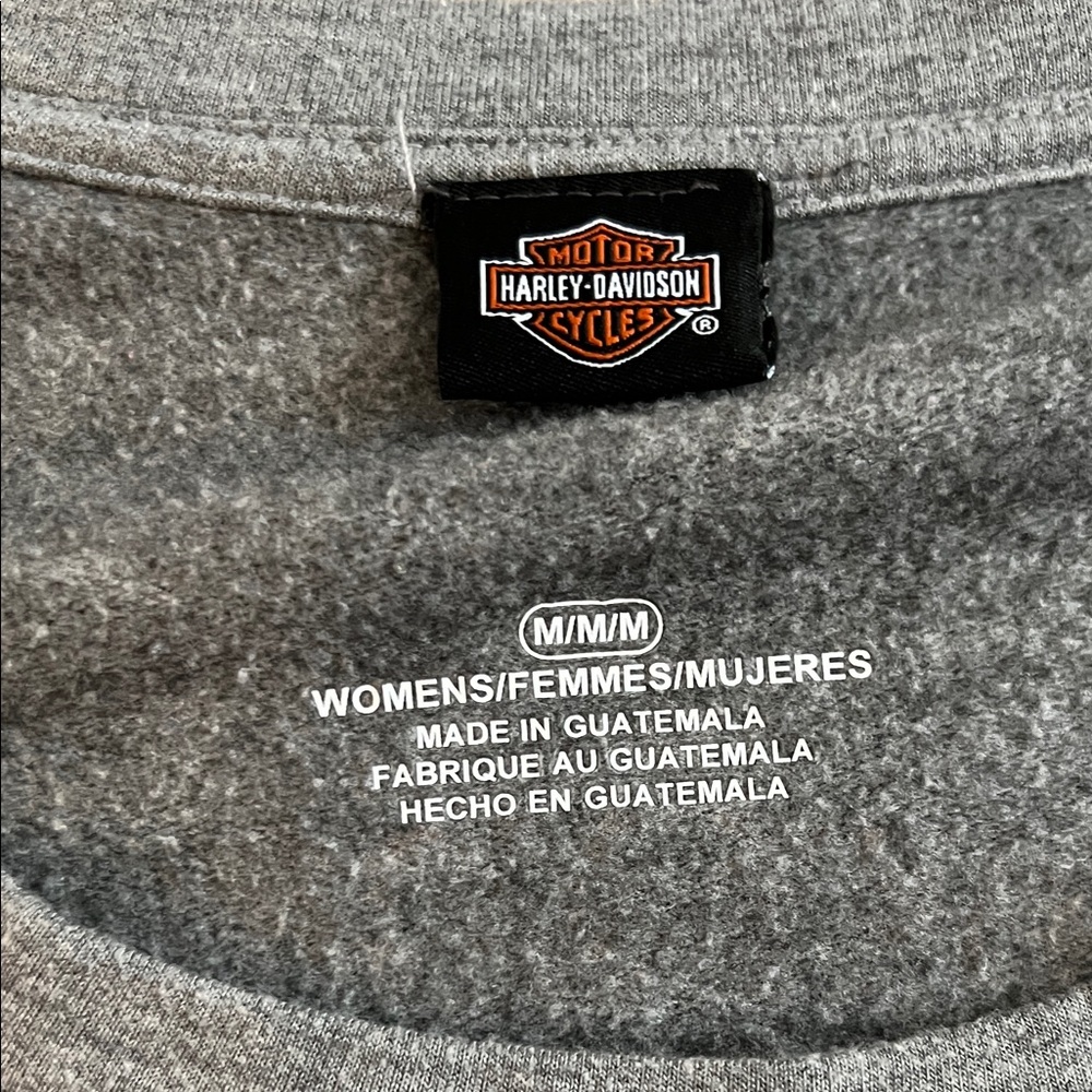 Harley-Davidson Gray Sweatshirt with Colorful Logo - Picture 2 of 4